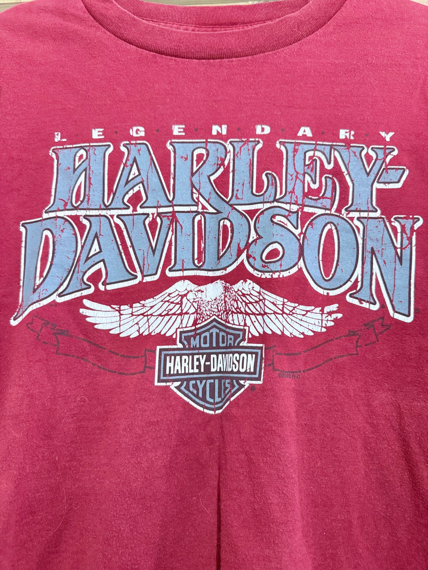 Vintage Y2K Harley Davidson T-shirt. Graphic. Size Small.
