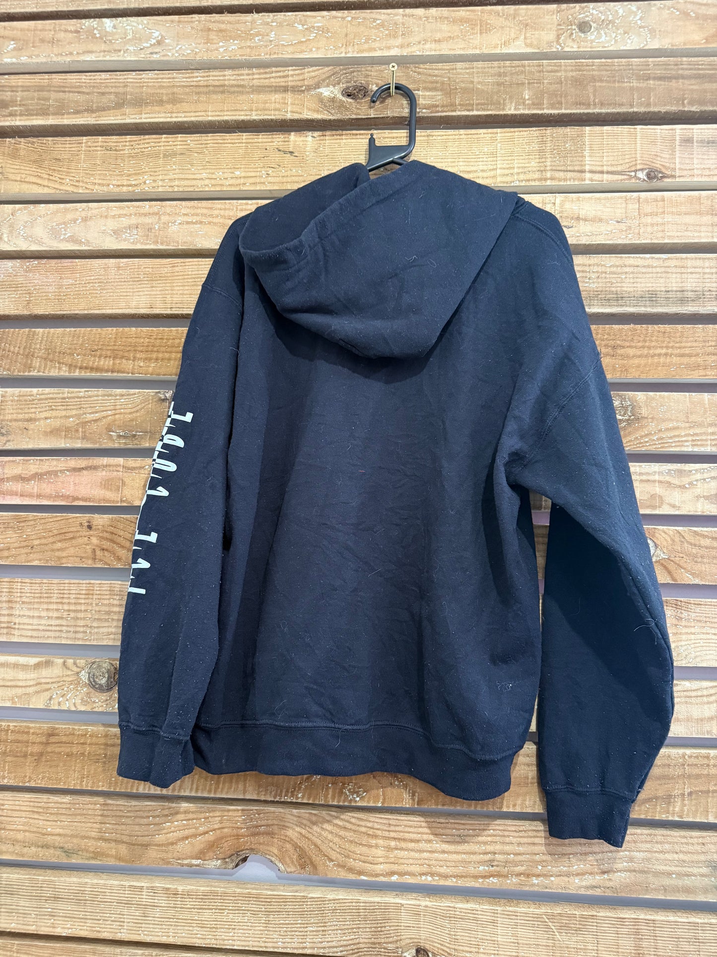 Vintage Y2K Ice cube hoodie/ hooded sweater. Rap/ Music. Size large.