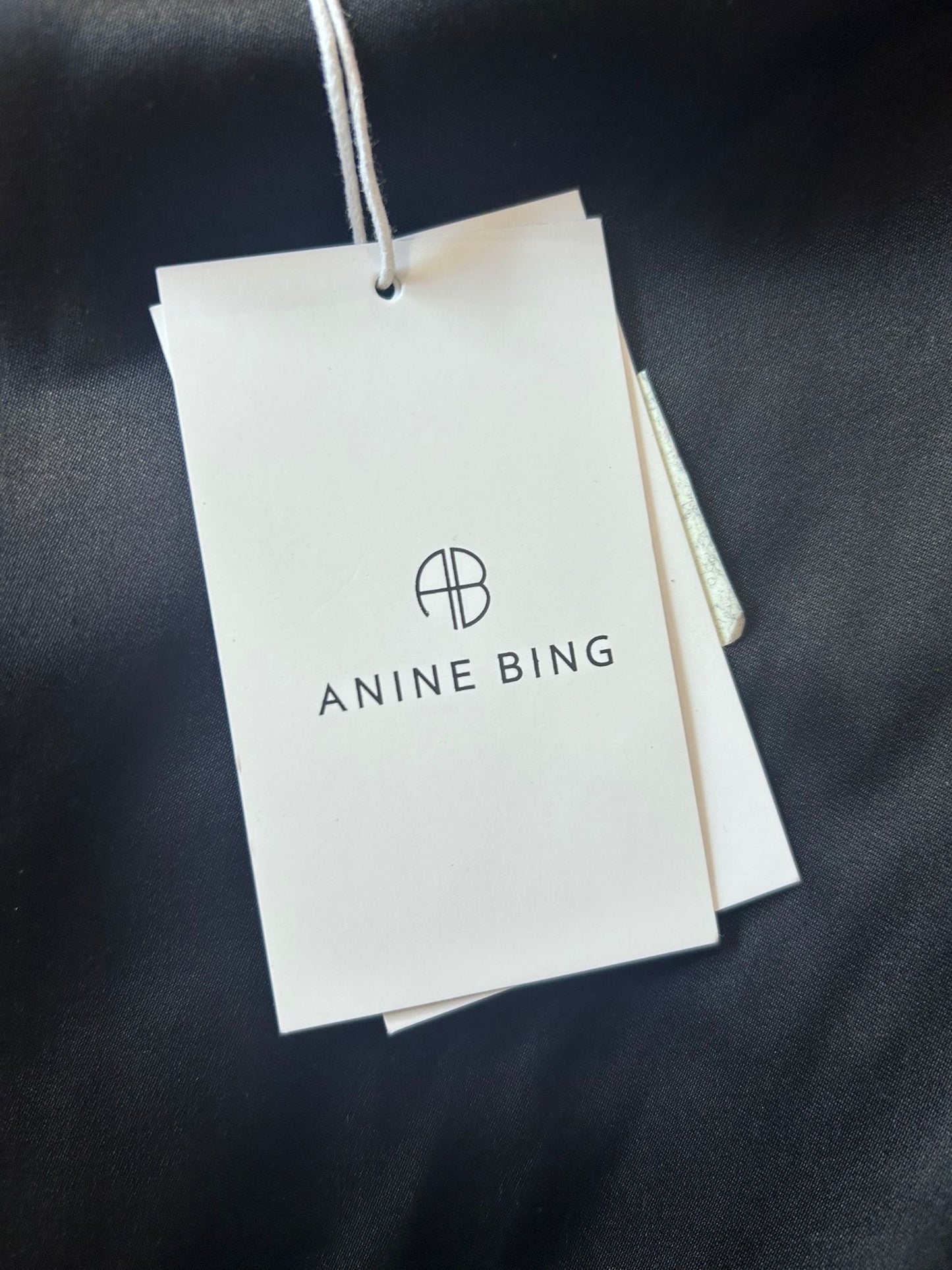 BNWT Anine Bing maxi silk flowy skirt. Small. Size UK10 30” waist.