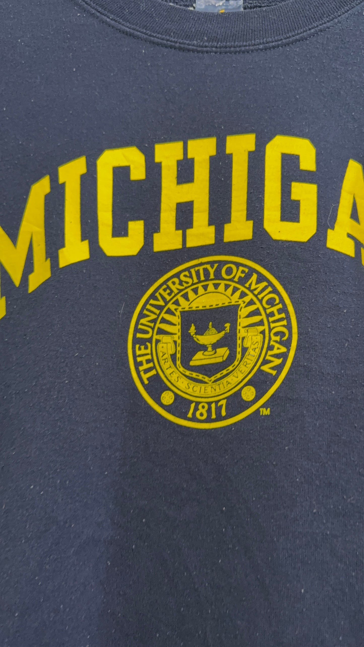 Vintage 90s Michigan University Sweater/ Sweatshirt. Size Medium. USA