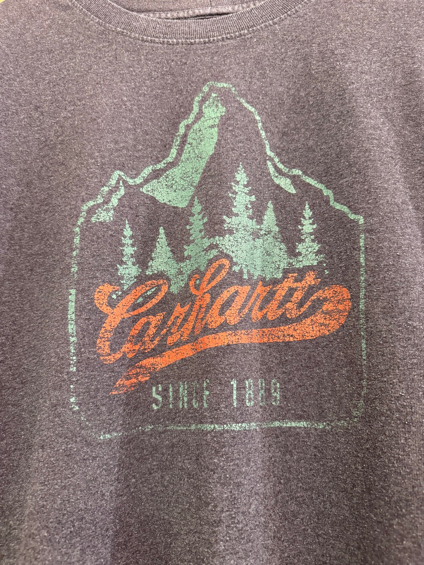 Carhartt mountain/ trees motif t-shirt. Spell-out. Grey. Workwear/ cowboy/ USA. Size XL