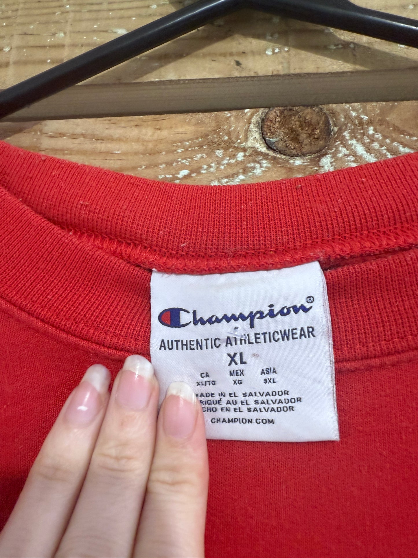 Vintage 90s Champion Cornell university spell-out sweater/ sweatshirt. USA. Size XL.