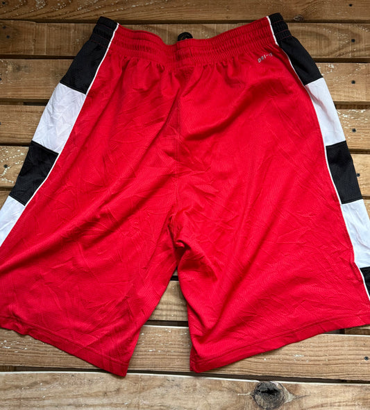 Vintage Y2K Nike basketball sports shorts. 32”- 38” waist. Size XL.