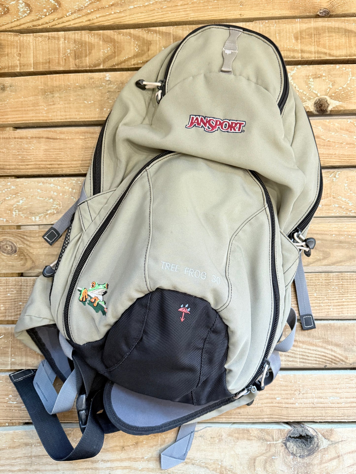 Vintage Y2K Jansport RARE Tree Frog 30 Hiking Bag Outdoor Large Rare Original. Backpack/ Rucksack.