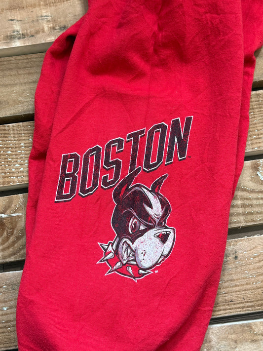 Vintage Y2K Champion Boston university terriers joggers/ trousers/ pants. Medium. 26”- 34” waist. 29” leg