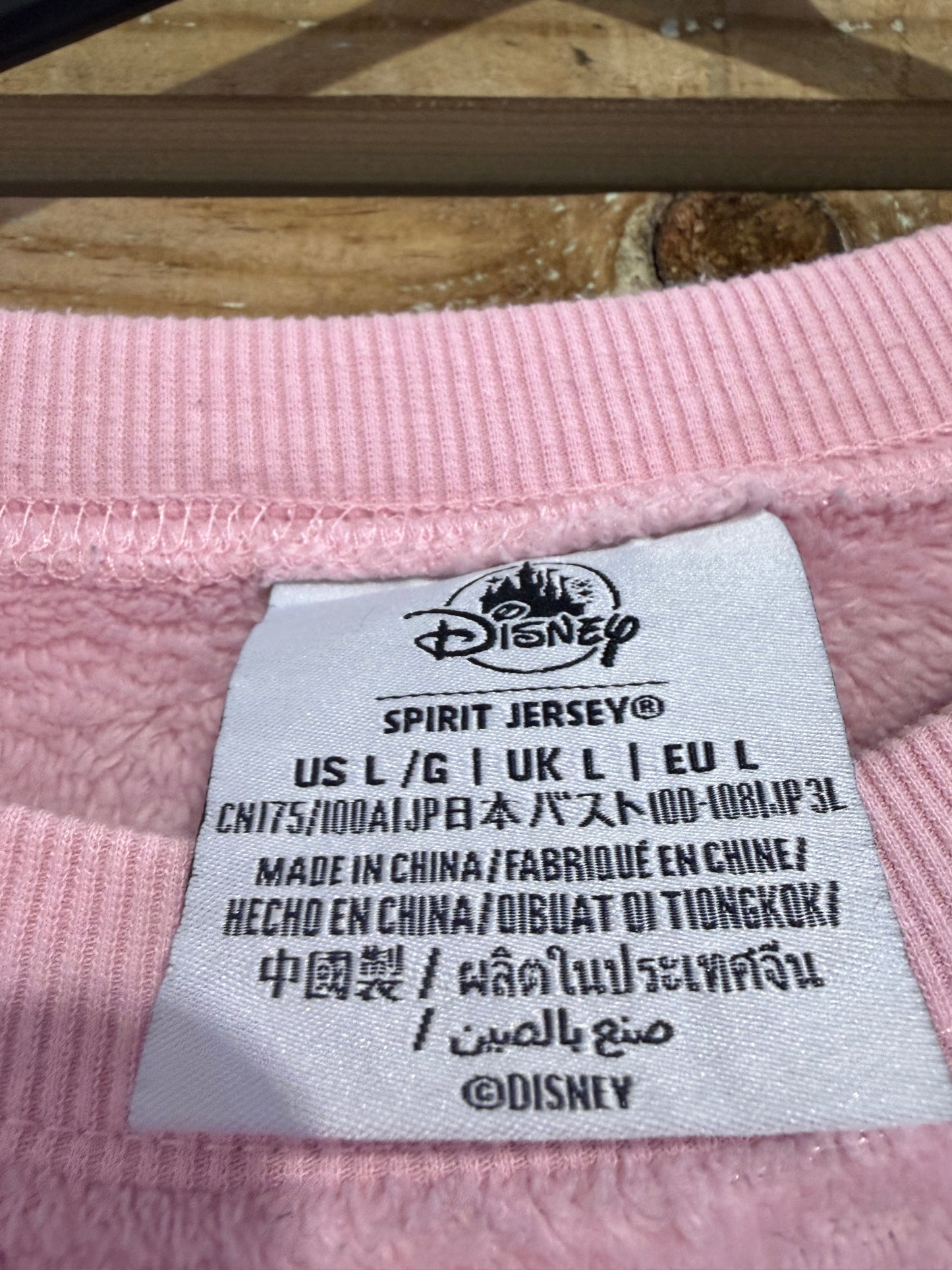 Vintage RARE Y2K Disney world spirit jersey fleece sweater/ sweatshirt. USA. Size Large. Pink.