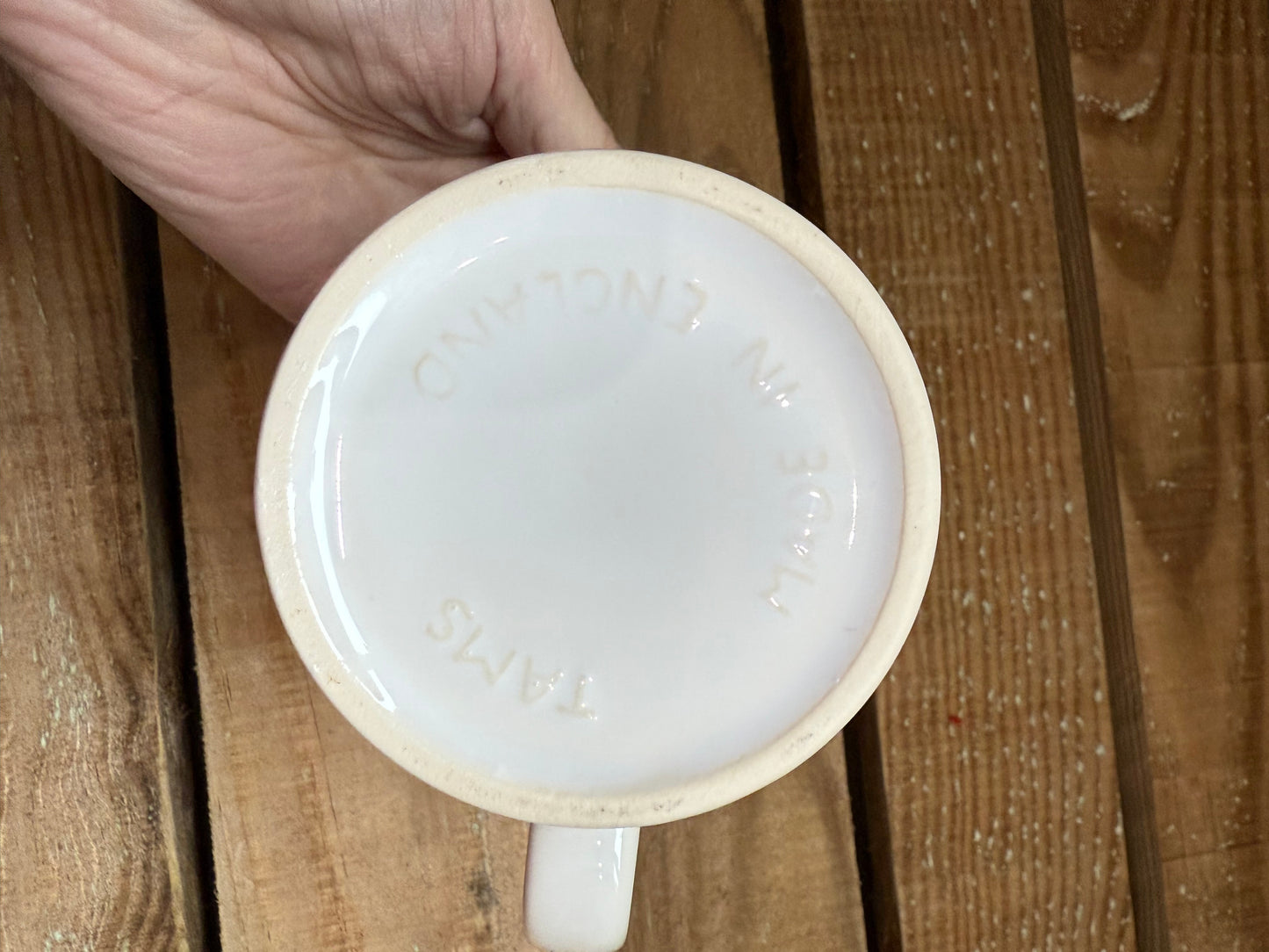 Vintage Y2K Disney Winnie the Pooh Tams Mug.