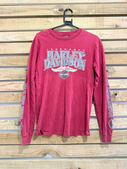 Vintage Y2K Harley Davidson T-shirt. Graphic. Size Small.